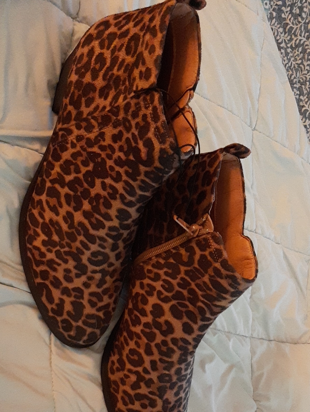 Anneliese 9M Leopard Print Women’s Ankle Boots - Brown
